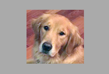 team member image