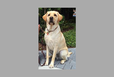 team member image