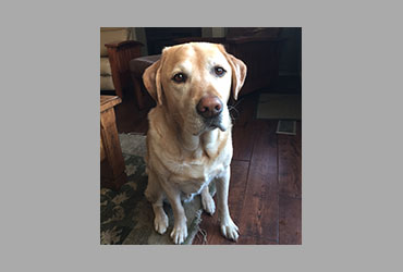 team member image