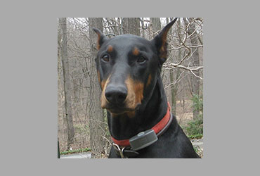 team member image