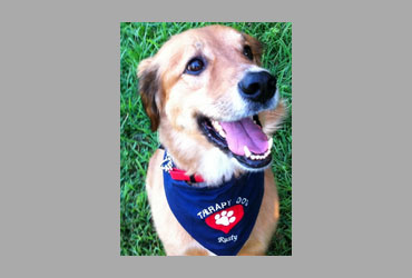 team member image