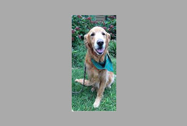 team member image
