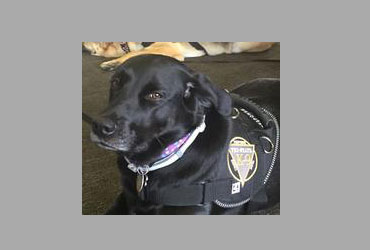 team member image
