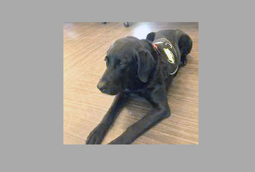 team member image